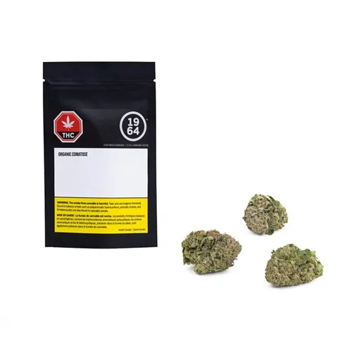 Comatose product image
