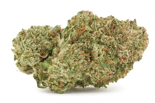1964 - Organic Comatose product image