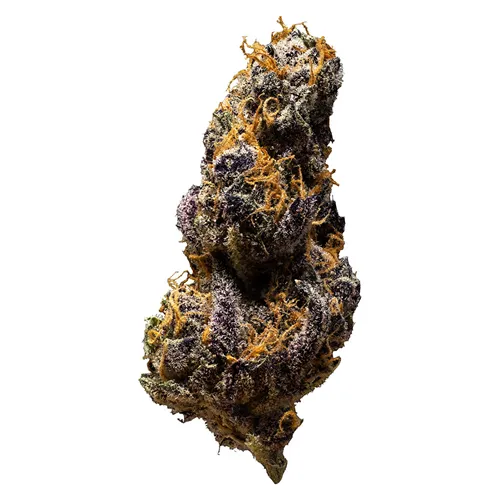 3rd Coast Genetics - Black Cheese product image