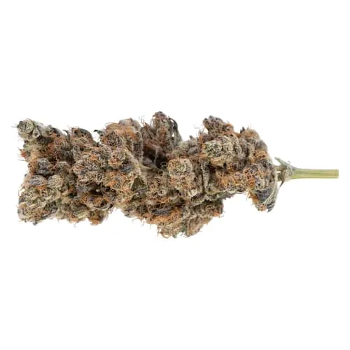 Fawnta product image
