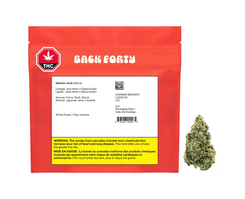 Galactic Jack product image