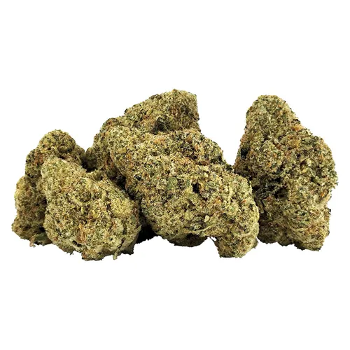 G13 Bx1 product image