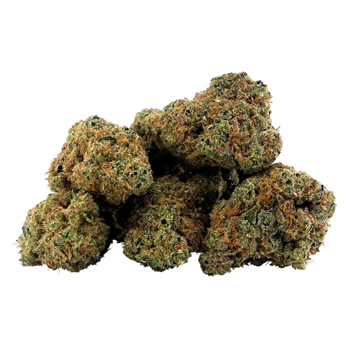 Gasserole product image