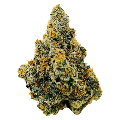 Exotic Collection product image