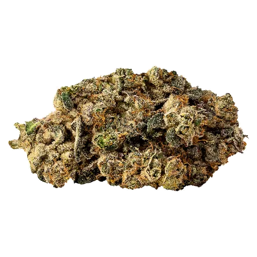 Cobra Chicken Budskis product image