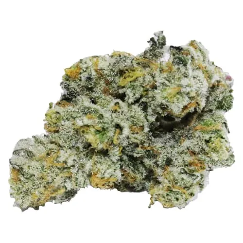 - product image