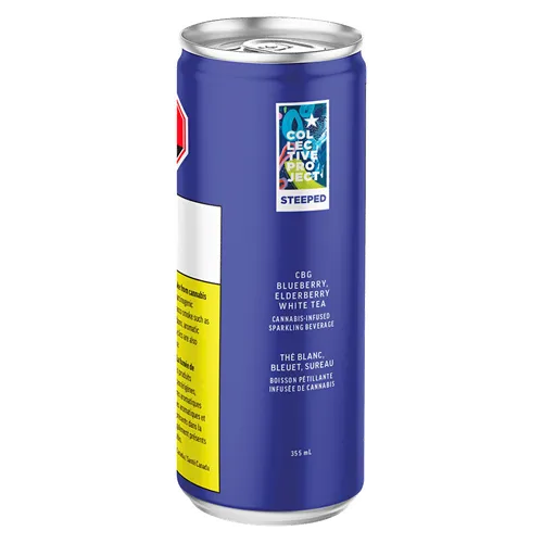 Blueberry & Elderberry Sparkling White Tea product image