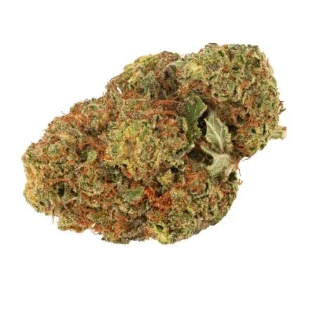Daily Special - Daily Special Indica product image