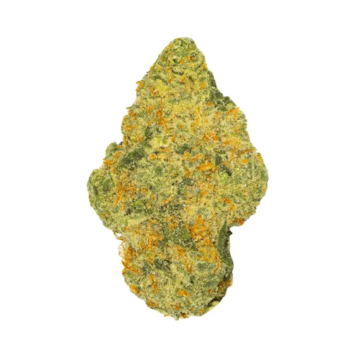 Daily Special - El Chemino product image