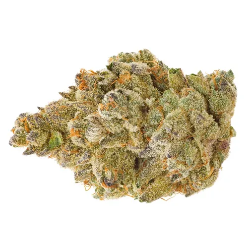 Daily Special - Gasberry Pie product image