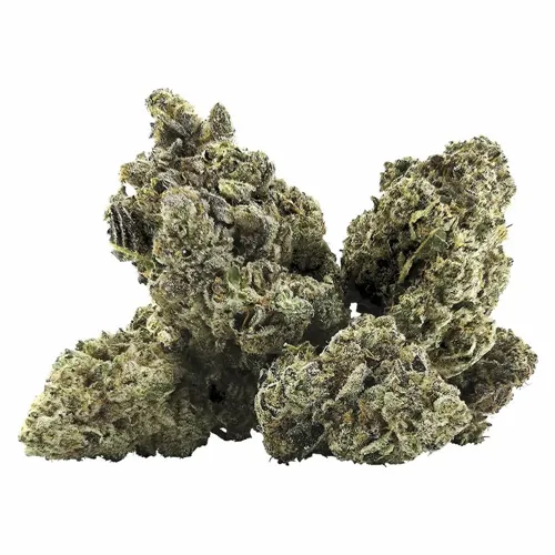Galactica OG product image