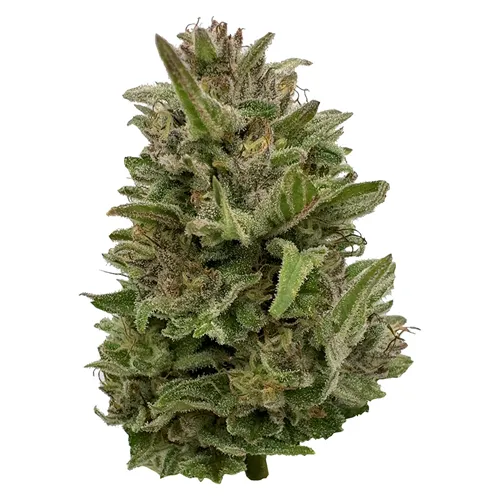 Deelish product image