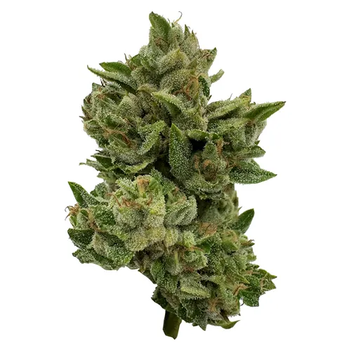 Deelish product image