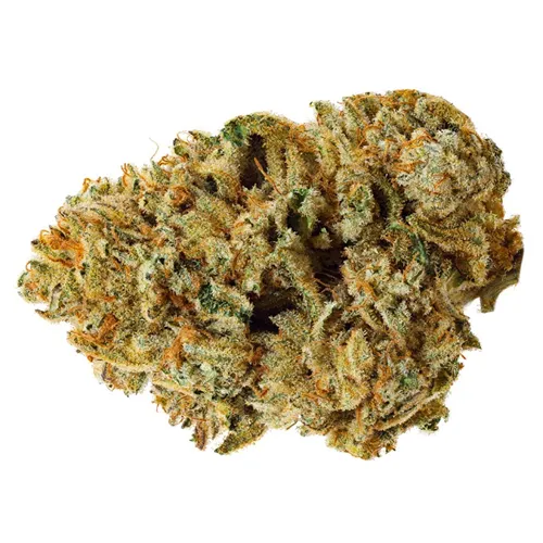 Drift - Alien Cake 3030 product image