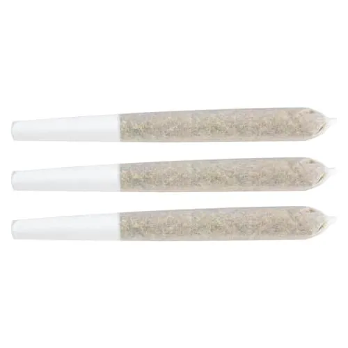 Gastro Pop Pre-Roll product image