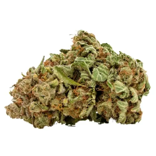 Elio's Reserve BZOOKA product image