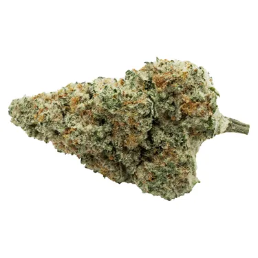 Encore product image