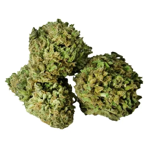 FDL par/by Fleurs de L'lle - Bruce Banner product image
