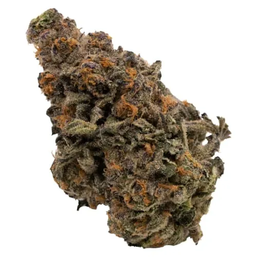 Cosmic Sherb- Dried Flower product image