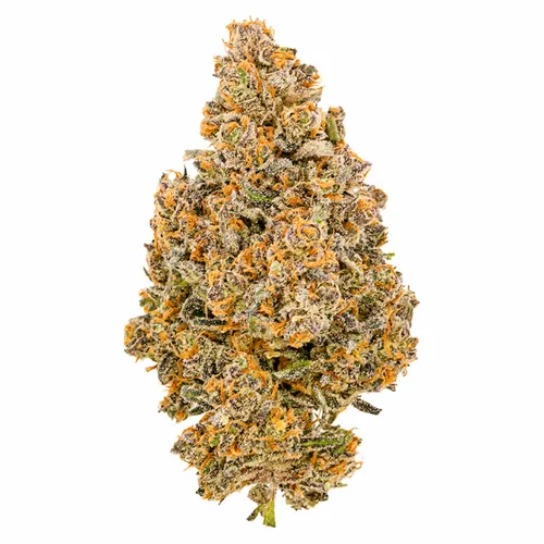 Fuga - Balanced Living Soil Organic product image