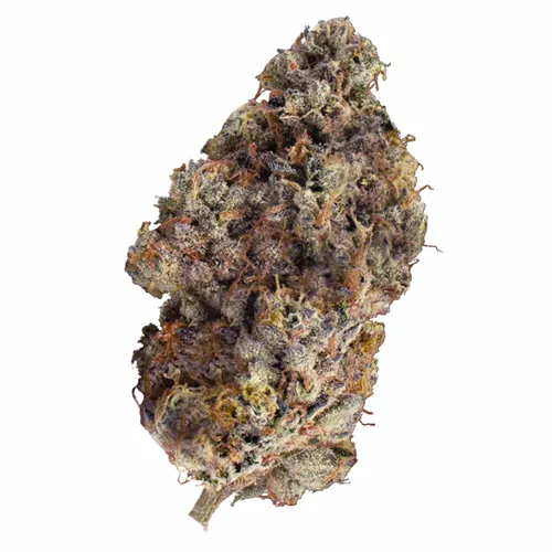 GAGE - Funfetti product image