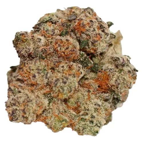 Frost Monkey product image