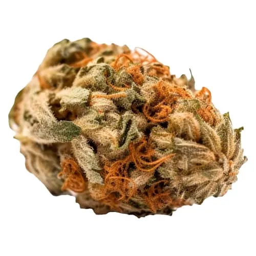 Dolce Gelato product image