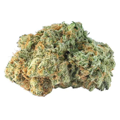 Cherry Bomb- Dried Flower product image