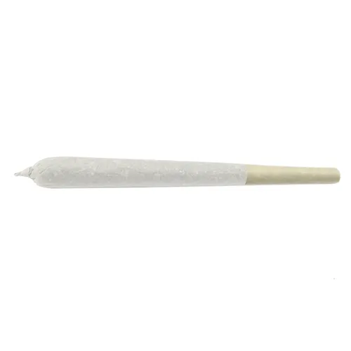 J.R Strain - Banana Brain PR Pack product image