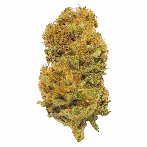 Durban Poison product image