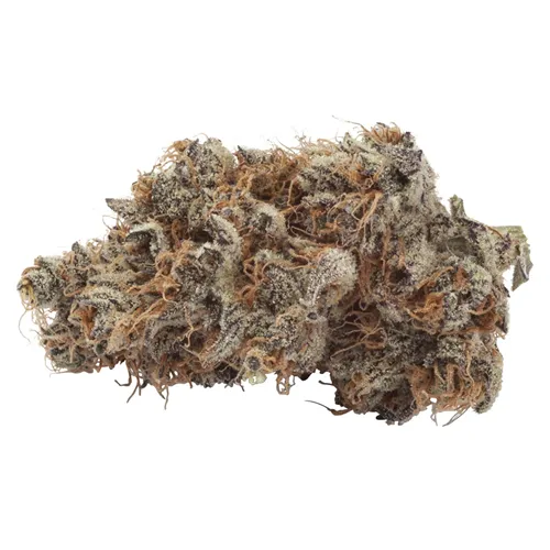 Natural History - Crescendo product image