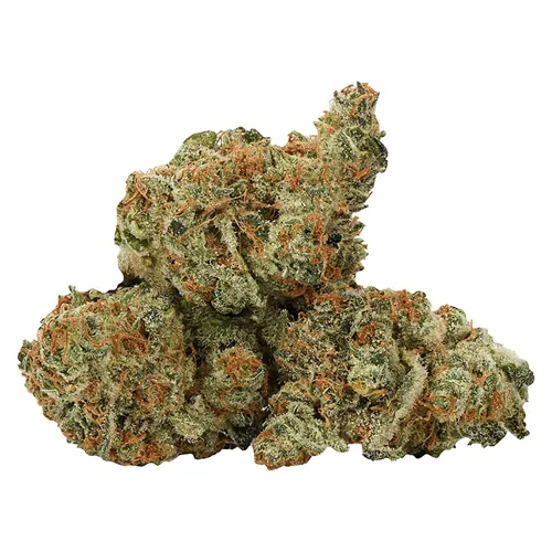 Ness - Bermuda Sour product image