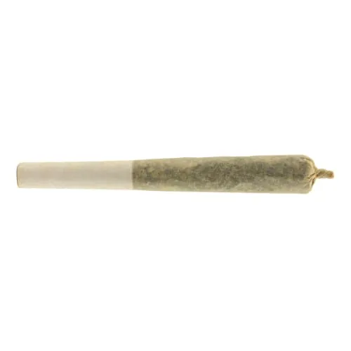 Afghan Gold Hash Infused Pre-Roll product image