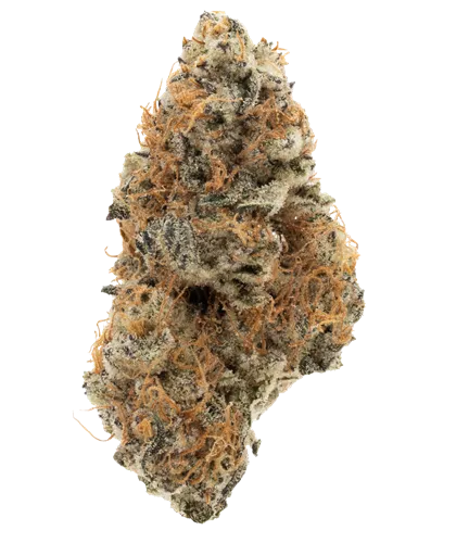 dosi-GMOsi #13 product image
