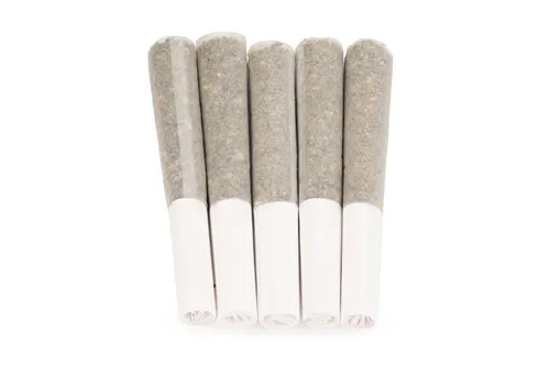 Orchid CBD - CBD Runtz Pre-Roll Pack product image