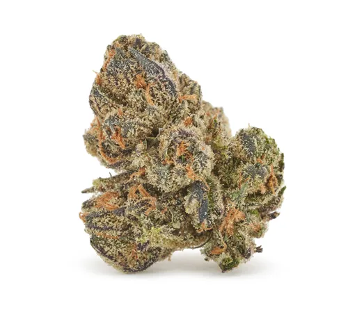 Orchid CBD - CBD Runtz product image