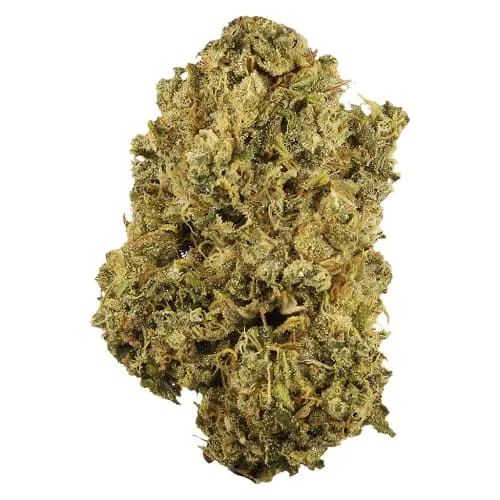 Durban Poison product image
