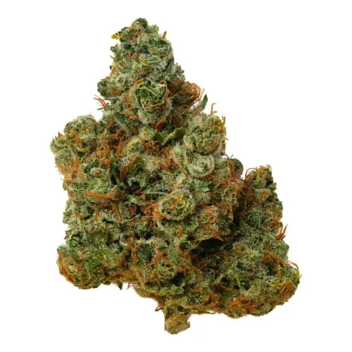 Certified Organic Mmmosa Evo product image