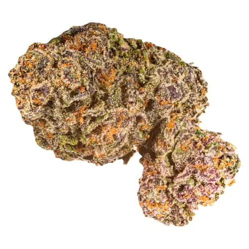 Donkey Ballz product image