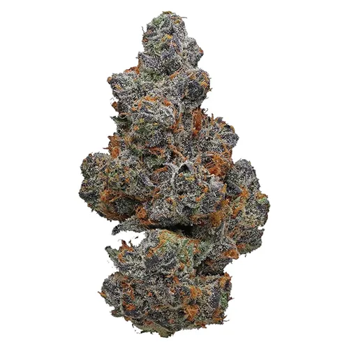 Potluck - Apple Fritter product image