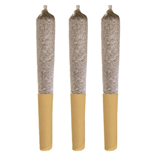 Potluck - Banana Cream Pre-Roll product image