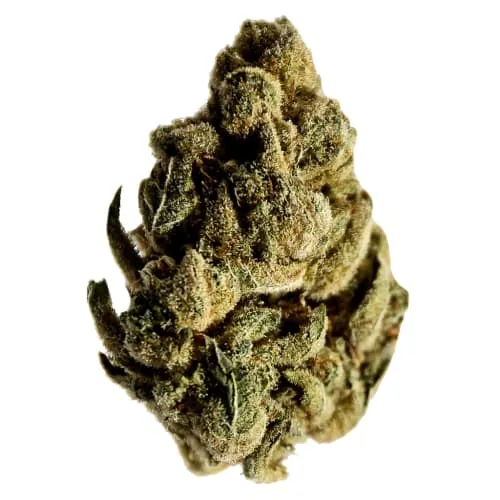 Potluck - Candy Cane Kush product image