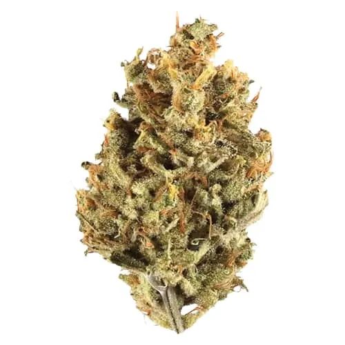 Cranberry Cough product image