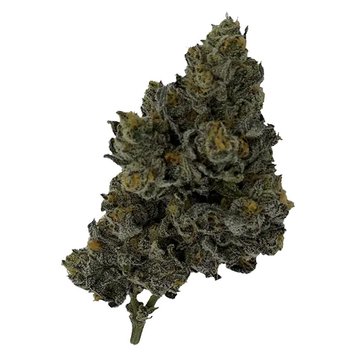 Exotic Matter product image