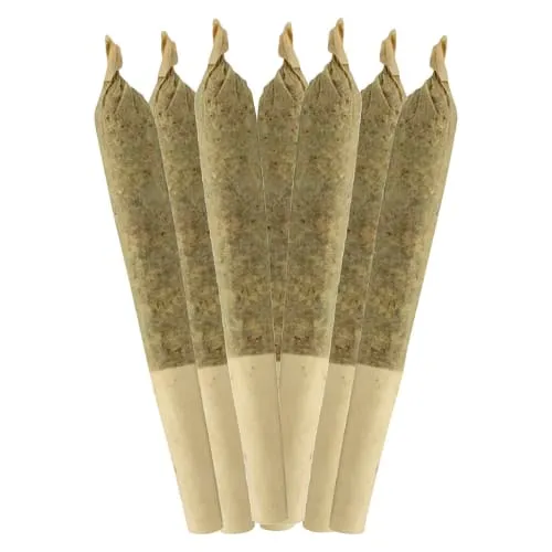 Dia De Los Muertos Pre-Roll product image