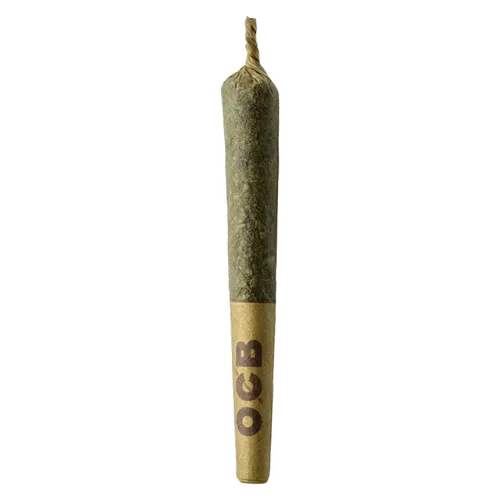 Dubb Bubbs Cured Resin Infused Pre-rolls product image