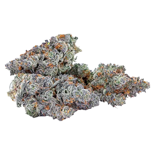 Gary Satan product image