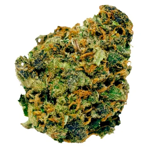 CBD Pumpkin Spice product image