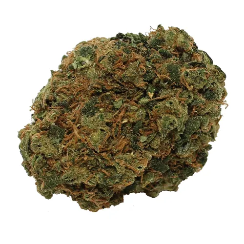 Chocolate Mint OG product image