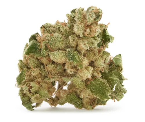 Coastal Sage product image